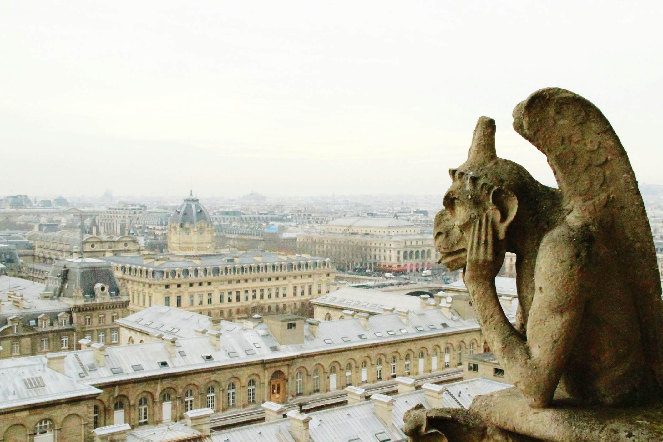 What's Inside Sarcophagus Discovered In Notre Dame In Paris - Lonely Planet